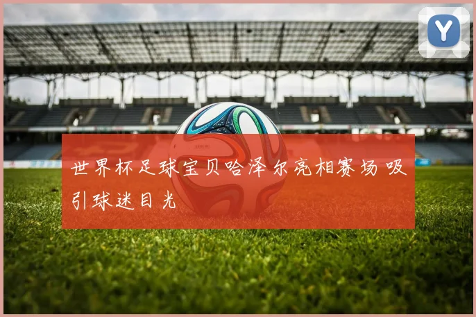 世界杯足球宝贝哈泽尔亮相赛场 吸引球迷目光