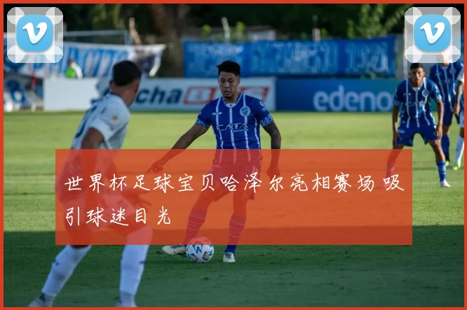 世界杯足球宝贝哈泽尔亮相赛场 吸引球迷目光