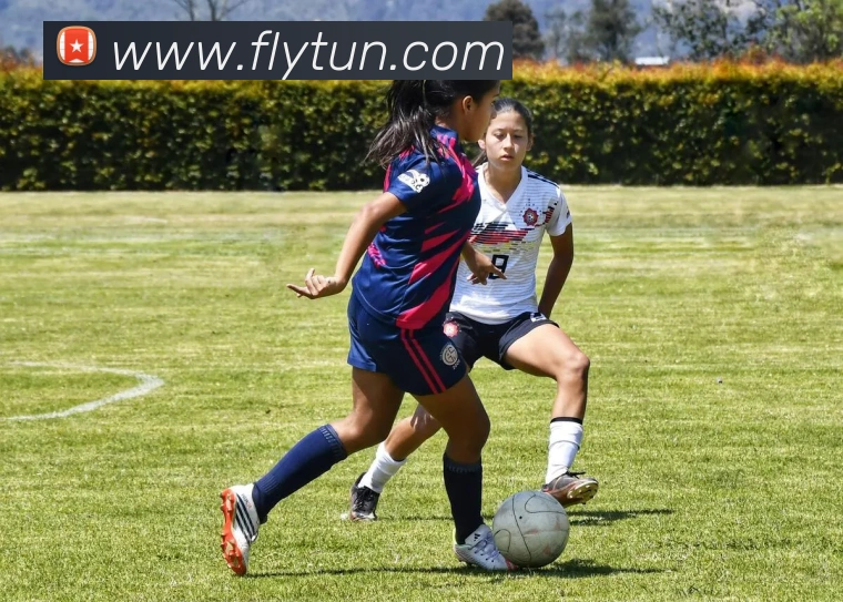 投注app官网APP 体育赛事宣传图